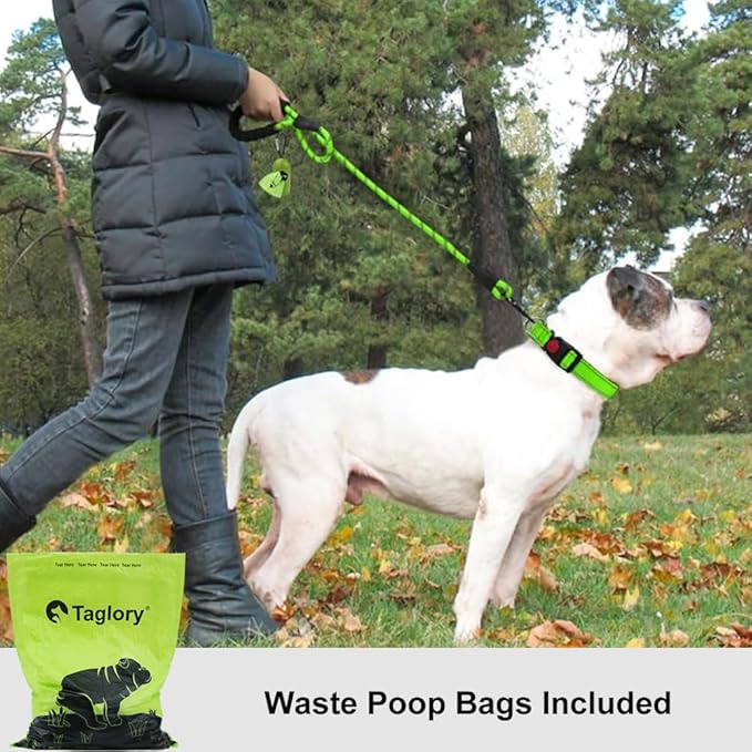 Taglory Rope Dog Leash 5 FT with Comfortable Padded Handle, Highly Reflective Threads Leash and Anti-Tangle Clip for Walking Medium Large Dogs, 1/2 inch, Green