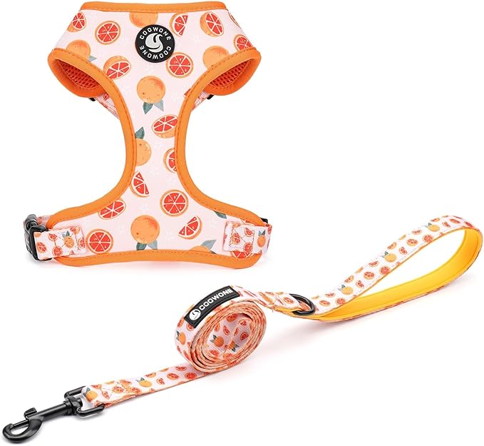 Dog Cat Harness and Leash Set, Puppia Soft Mesh Padded and Adjustable Puppy Vest Cute Dog Clothes Escape Proof Easy Walk Pet Accessories (Grapefruit, L (Neck 15.7"-21"; Chest 19.6"-28.3"))