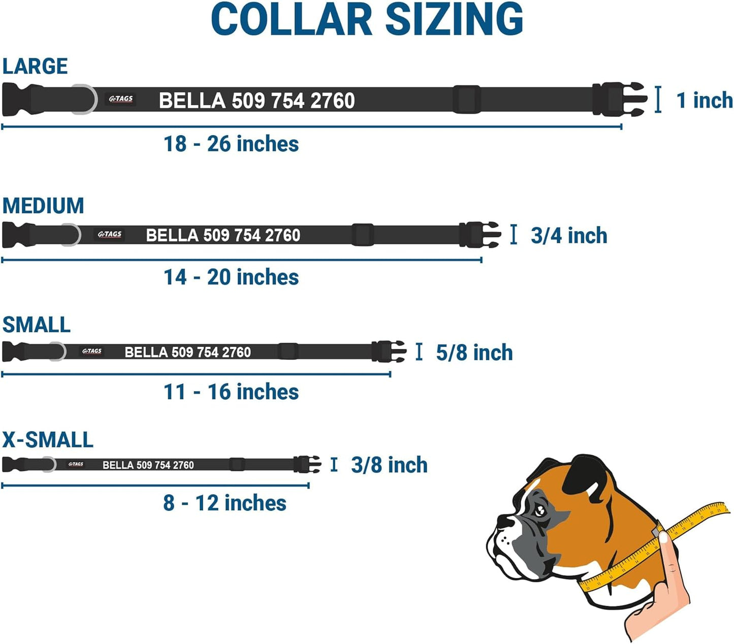 GoTags Personalized Dog Collar with Nameplate, Adjustable Dog Collar with Custom Engraved Slide On Pet ID Tag in Stainless Steel, Silent, No Noise Dog Tag (Light Blue, Medium)
