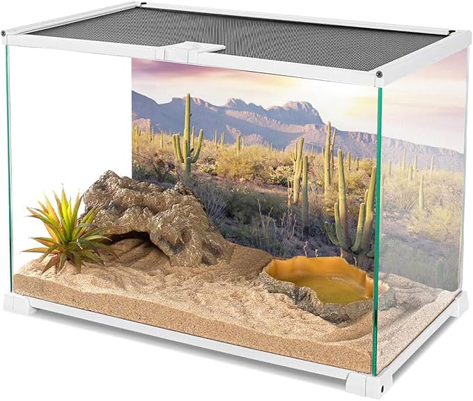 AWERT Reptile Habitat Background Blue Sky Oasis Mountain Cactus Sun and Desert Terrarium Background 72x16 inches