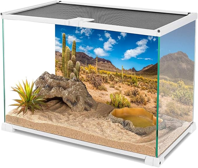 AWERT 72x18 inches Reptile Habitat Background Blue Sky Oasis Cactus Desert Terrarium Background Vinyl