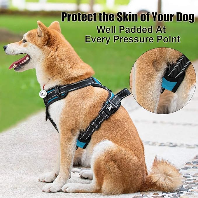 PoyPet No Pull Dog Harness, Reflective Comfortable Vest Harness with Front & Back 2 Leash Attachments and Easy Control Handle Adjustable Soft Padded Pet Vest for Small to Large Dogs (Blue,M)