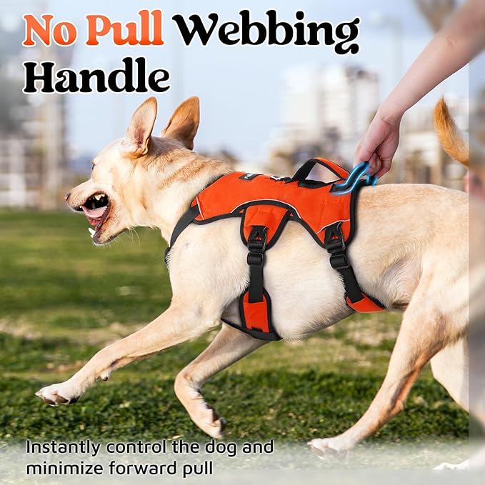 rabbitgoo Escape Proof Dog Harness, Soft Padded Full Body Pet Harness, Reflective Adjustable No Pull Vest with Lift Handle and Leash Clip for Large Dogs Walking Hiking Training, L, Orange
