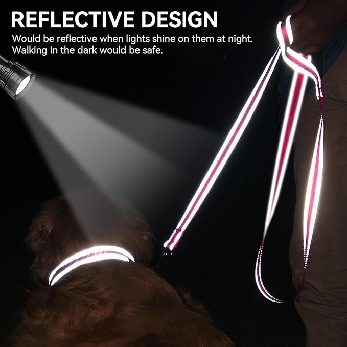 Joytale Dog Leash, 5 FT Double-Sided Reflective, Padded Handle Nylon Heavy Duty Leashes for Small Dogs Walking, Hotpink