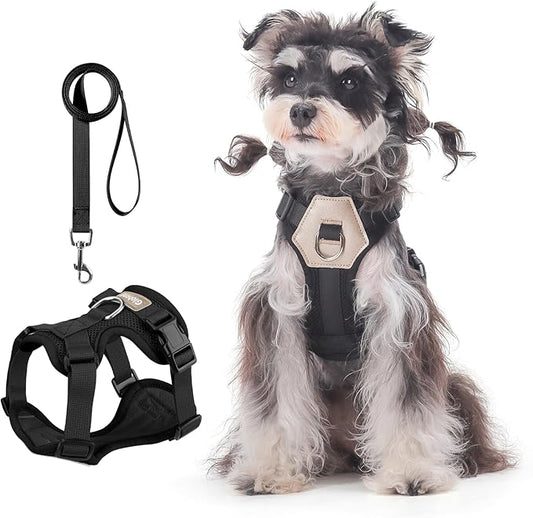 Small Dog Harness and Leash Set, Breathable Mesh Puppy Harness, Adjustable Dog Harness for Small Medium Large Dogs, No-Pull Pet Harness for Daily Walking (Black, Small)