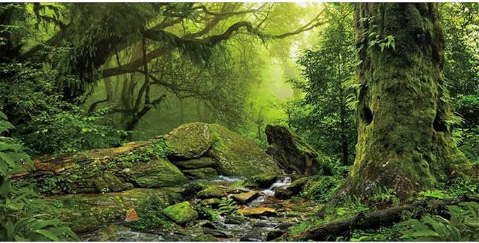 AWERT Tropical Forest Terrarium Background Stream Green Huge Tree Reptile Habitat Background Foggy Rainforest Aquarium Background 36x24 inches Durable Polyester Background