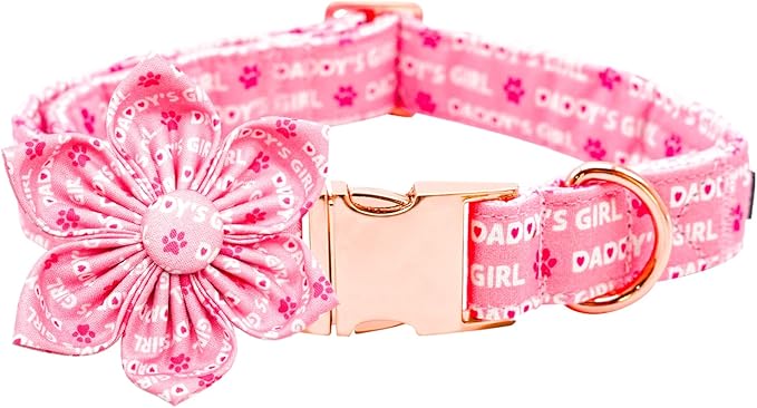 Lionheart glory Valentine's Day Dog Collar with Flower Dog Collars Pink Collars for Small Dogs, Spring Pet Puppy Collar Flowers