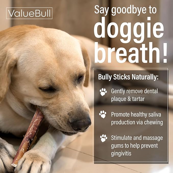 ValueBull Bully Sticks for Large Dogs, Super Jumbo 6 Inch, 10 Count - All Natural, Grass Fed, Single Ingredient, Long Lasting Dog Treats for Aggressive Chewers