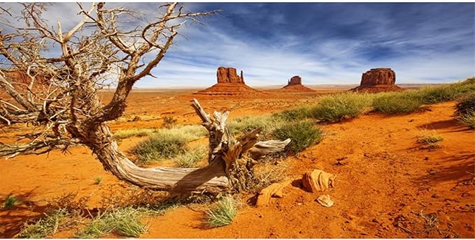 AWERT 48x24 inches Reptile Habitat Background Orange Desert Terrarium Background Durable Polyester Background