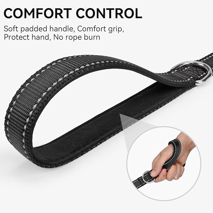 Joytale Dog Leash, 4 FT Double-Sided Reflective, Padded Handle Nylon Heavy Duty Leashes for Small Dogs Walking, Black