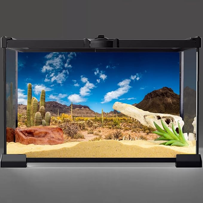 AWERT 30x18 inches Reptile Habitat Background Blue Sky Oasis Cactus Desert Terrarium Background Vinyl