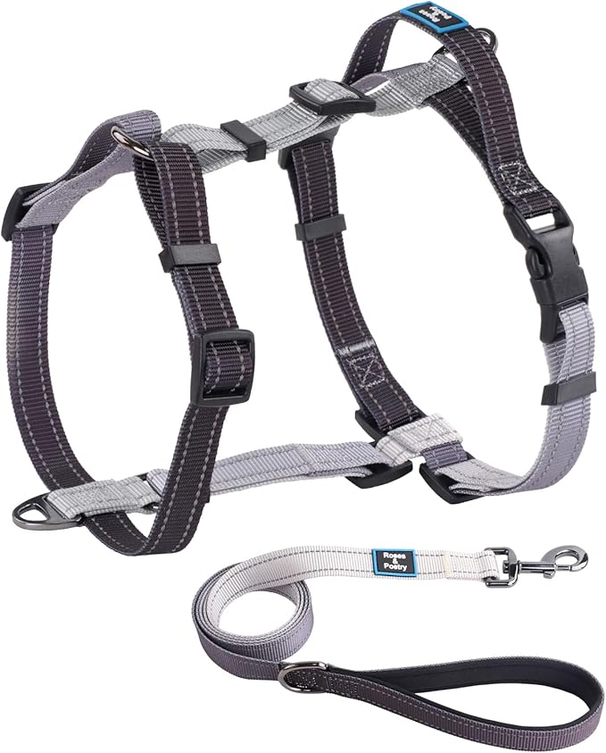 Roses&Poetry Puppy Dog Harness and Leash Set, No Pull Dog Harness Adjustable Reflective, Dog Halter Harnesses Comfort Padded Handle, Pet Harness for Training Outdoor Walking（BlackGray-S