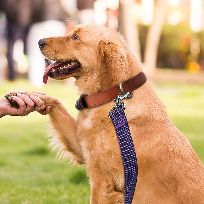 Hi Kiss Dog/Puppy Obedience Recall Training Agility Lead - 15ft 20ft 30ft 50ft 100ft Training Leash - Great for Training, Play, Camping, or Backyard(15ft,Black_Purple)