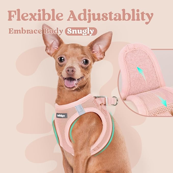 rabbitgoo Small Dog Harness, Step-in Soft Mesh Puppy Vest with Safety Buckle, Breathable Reflective Pet Harness for Small Medium Dogs, Pink XL