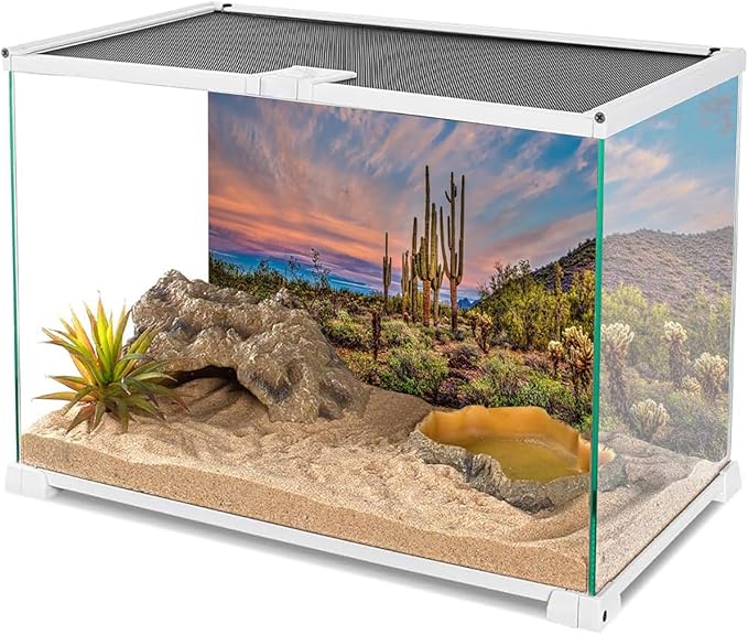 AWERT 60x24 inches Terrarium Background Blue Sky Cloud Huge Cactus Oasis Gobi Reptile Habitat Background Vinyl