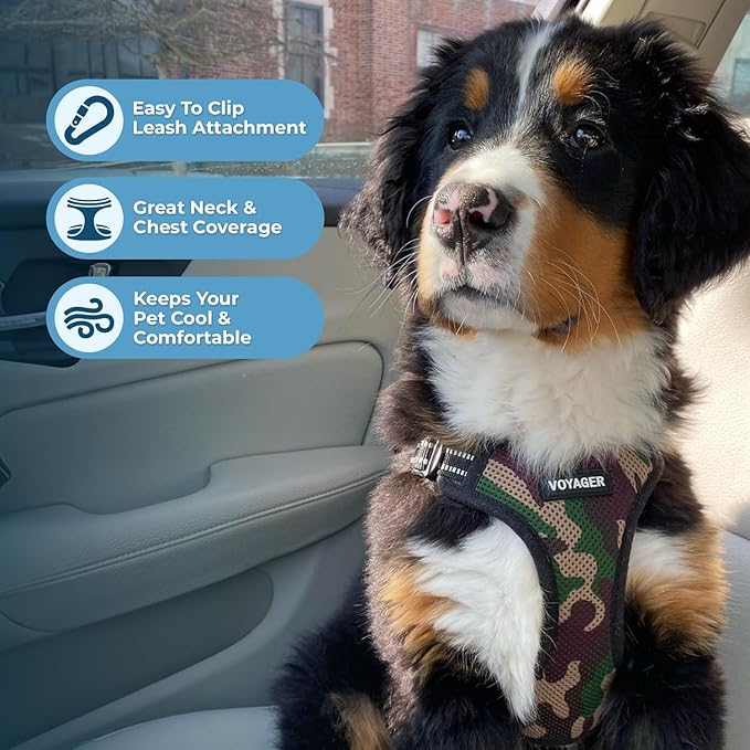 Best Pet Supplies Voyager Adjustable Step-in Flex Breathable Mesh Dog Harness for Small Medium Large Dogs Leash Set (Army Base), M