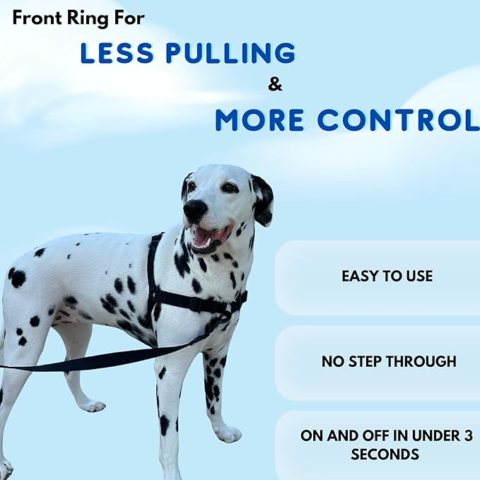 ShawnCo Dream Walk No-Pull Dog Harness- Adjustable, Comfortable, Easy to Use Pet Halter to Help Stop Pulling for Small, Medium and Large Dogs (Pacific Blue, M)
