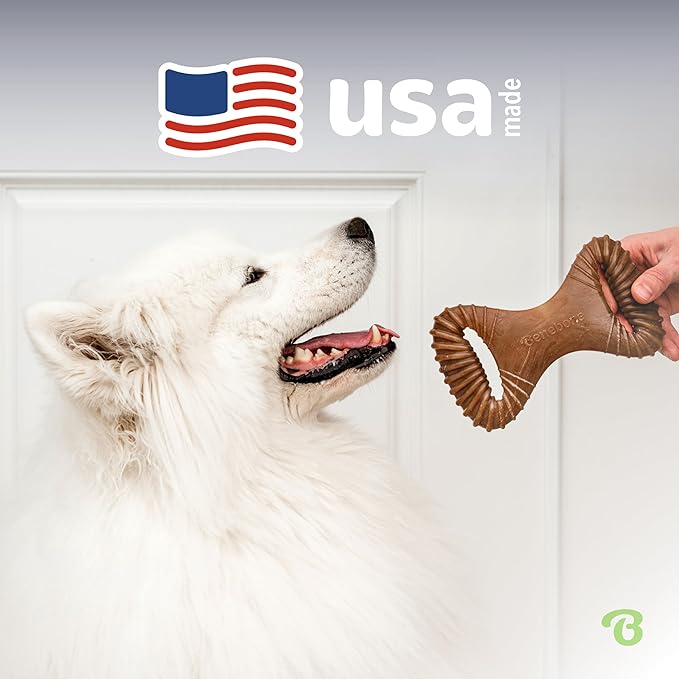 Benebone Dental Durable Dog Chew Toy for Aggressive Chewers, Real Chicken, Made in USA, Large
