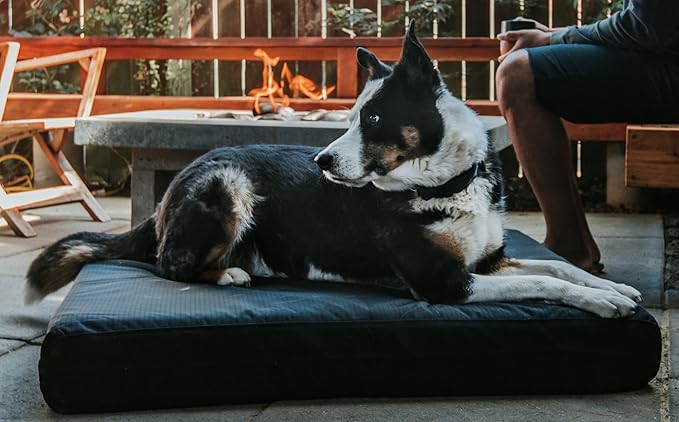 K9 Ballistics Tough Ripstop Orthopedic Rectangle Dog Bed Removable Washable Cover, Solid Orthopedic Foam for Size L Large Dogs 40"x34", Light Gray Velvet