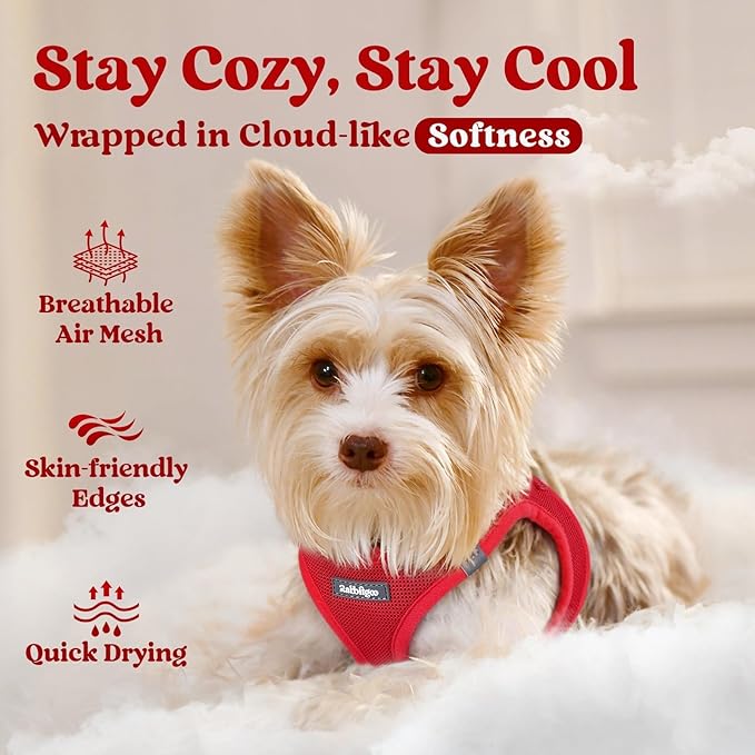 rabbitgoo Small Dog Harness, Step-in Soft Mesh Puppy Vest with Safety Buckle, Breathable Reflective Pet Harness for Extra Small Dogs, Red XXXS