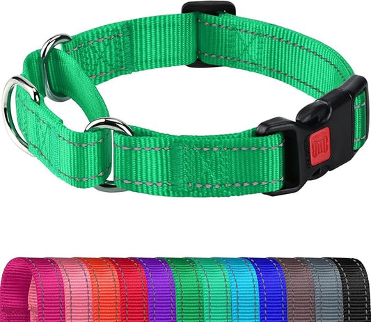 Joytale Martingale Collar for Dogs, Reflective Heavy Duty for Safety, Quick Release Buckle, Adjustable Nylon Collars for Medium Dogs Walking Training, Green,M