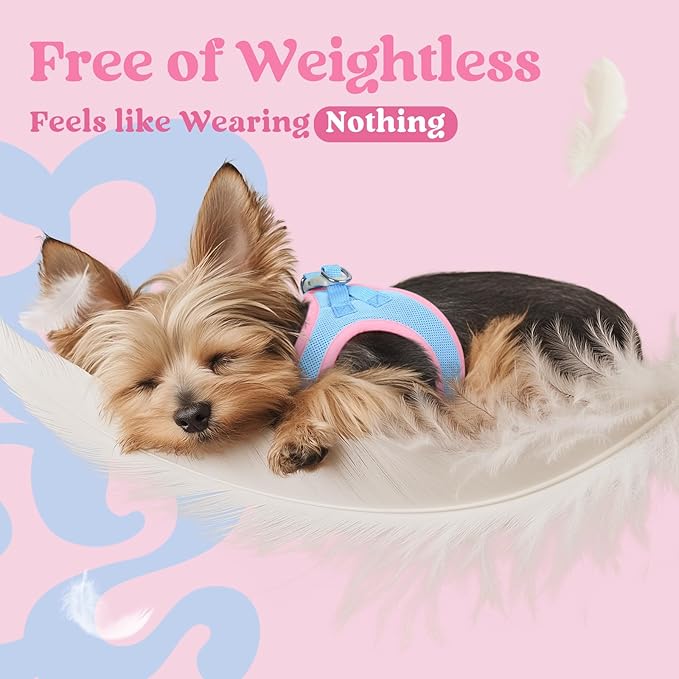 rabbitgoo Small Dog Harness, Step-in Soft Mesh Puppy Vest with Safety Buckle, Breathable Reflective Pet Harness for Extra Small Dogs, Blue & Light Pink XXS