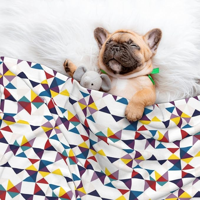 Two Sided Plush Pet Blanket for Warmth Comfort, Red Black Classical Retro Houndstooth Pattern, Reversible Throw with Cozy Nubby Side for Chilly Nights Napping Spots Around House
