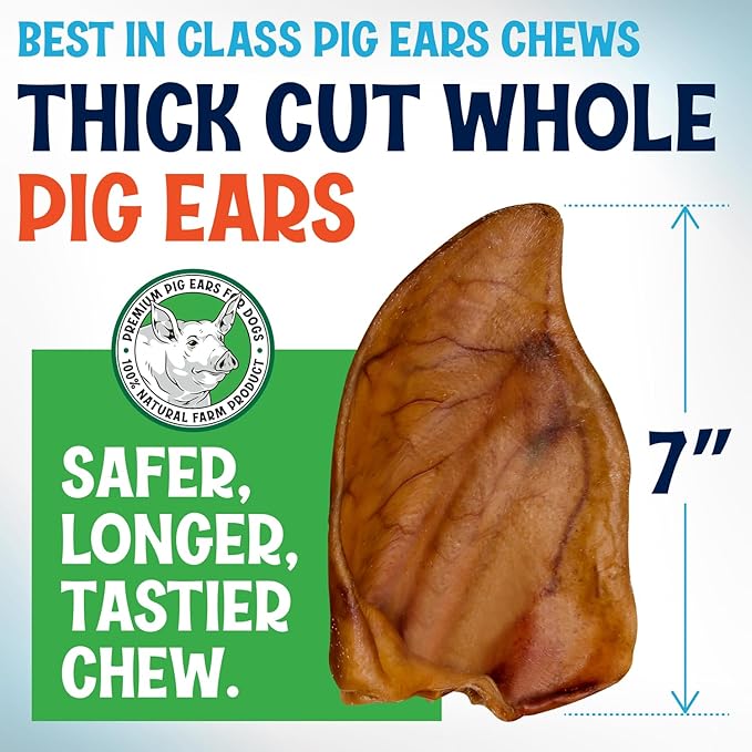 Whole Pig Ears for Dogs Large - 30 Pack Long Lasting Dog Chews – One Ingredient Delicious All Natural Flavor – Easy to Digest Dog Treats for Large Dogs - Great for Teeth and Gums