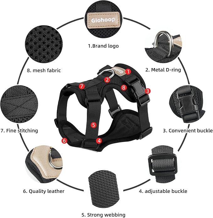 Small Dog Harness and Leash Set, Breathable Mesh Puppy Harness, Adjustable Dog Harness for Small Medium Large Dogs, No-Pull Pet Harness for Daily Walking (Black, Medium)