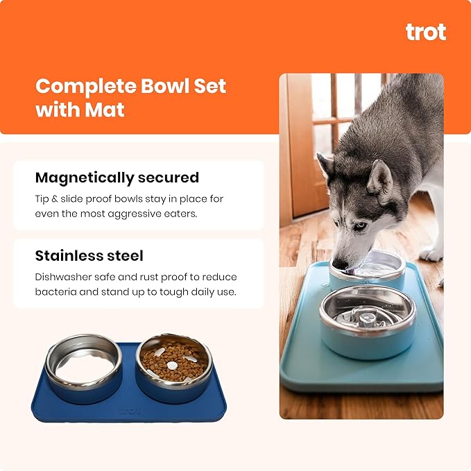 Trot Pets Premium Dog Bowls | Stainless Steel Bowl Set for Small, Medium, or Large Dogs | Non-Slip Food and & Water Slow Feeder | Durable, BPA-Free, Anti-Skid, Dishwasher Safe (Charcoal, Small)