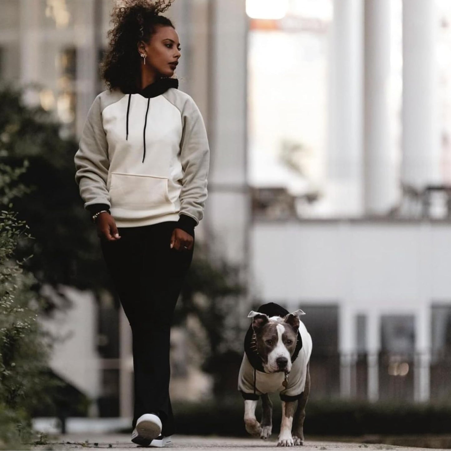 Spark Paws Dog Hoodie – Premium Dog Sweater for Small, Medium, and Large Dogs | Warm Outfits for French Bulldogs, Pitbull, Puppy, Winter Jacket Alternative - Olive Cream - M