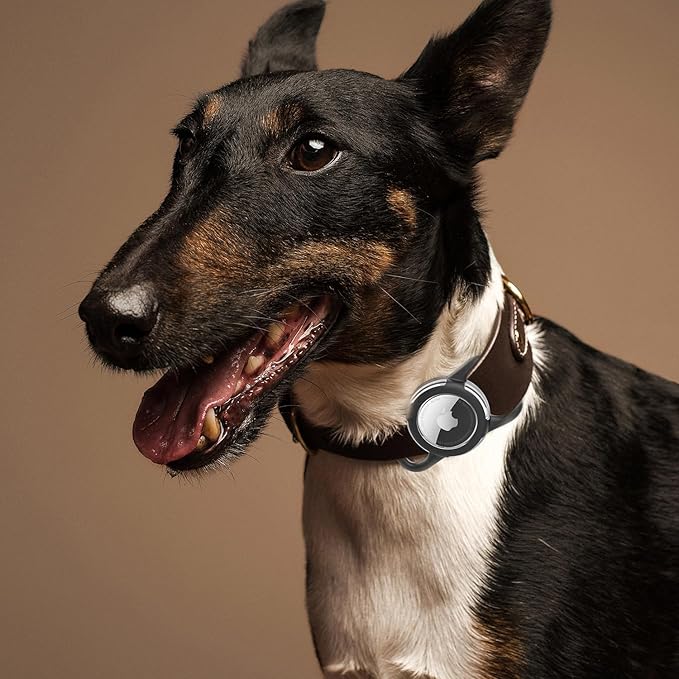 Waterproof Air tag Holder for Dog Collar, Silicone & ABS Air tag Holder for Dog & Cat Collars, Ultra-Durable, Lightweight and Protective Air tag Case (Black & Black, Regular)