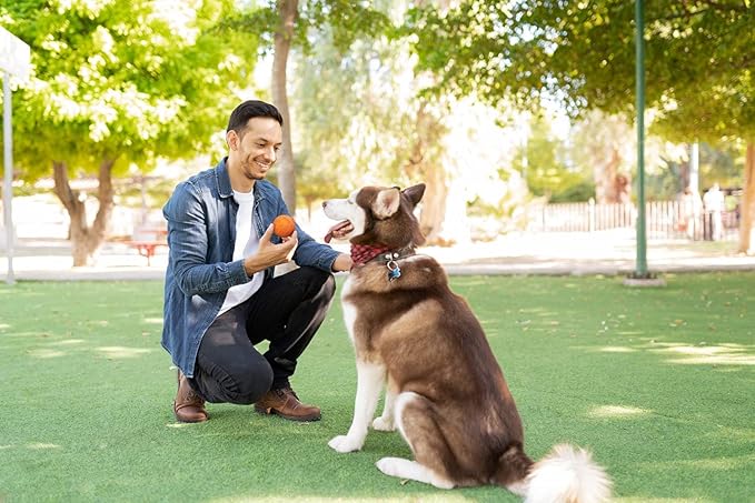 Snug Rubber Dog Balls for Small and Medium Dogs - Tennis Ball Size - Virtually Indestructible (3 Pack - Orange)