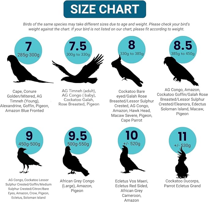 Bev's Bird Boutique Regular Flyper Adjustable Bird Diaper | Reusable, Washable Cloth | Comfort Fit for Parrot, Cockatiels, & Other Small Birds | Fashionable Avian Accessories, Navy & Red, Size 7