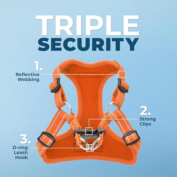 Best Pet Supplies Voyager Adjustable Step-in Flex Breathable Mesh Dog Harness for Small Medium Large Dogs Leash Set (Orange), M