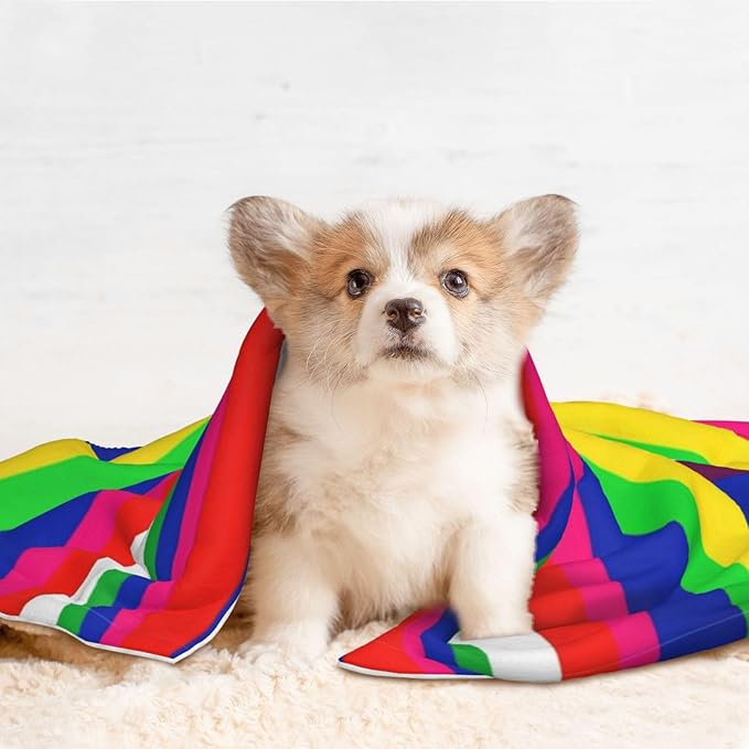 Dog and Cat Blanket in One, Novel Colorful Mexican Blanket Stripes, Double Sided Plush Throw with Raised Dot Pattern on One Side and Flat Velvet on Other for Variety