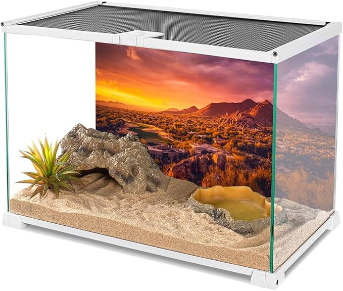 AWERT 72x24 inches Sun and Desert Terrarium Background Mountain Oasis Gobi Reptile Habitat Background Vinyl