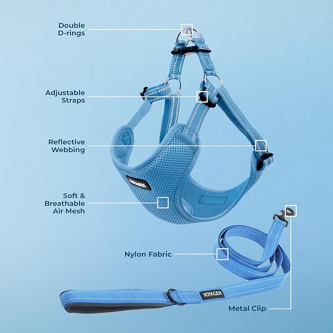 Best Pet Supplies Voyager Adjustable Step-in Flex Breathable Mesh Dog Harness for Small Medium Large Dogs Leash Set (Baby Blue), XL