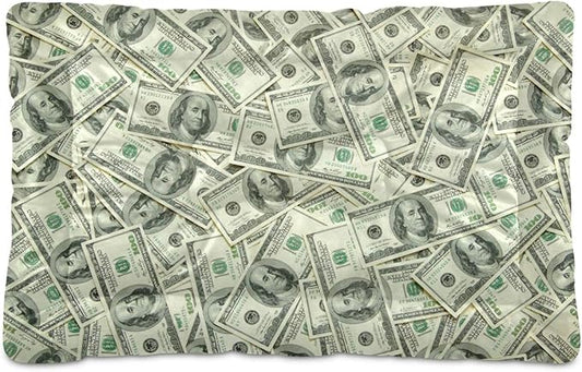 Pet Bed Money Print Dog Bed Mat Absorbing Non Slip Pad Pet Sleeping Mat for Small, Medium, and Large Dogs Puppy Cat 36 in x 24 in