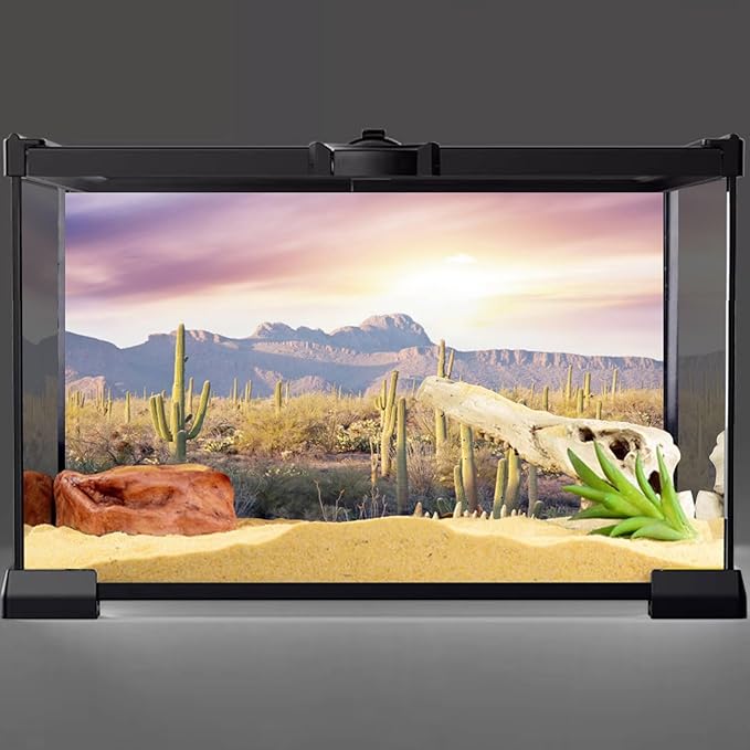 AWERT Reptile Habitat Background Blue Sky Oasis Mountain Cactus Sun and Desert Terrarium Background 24x12 inches
