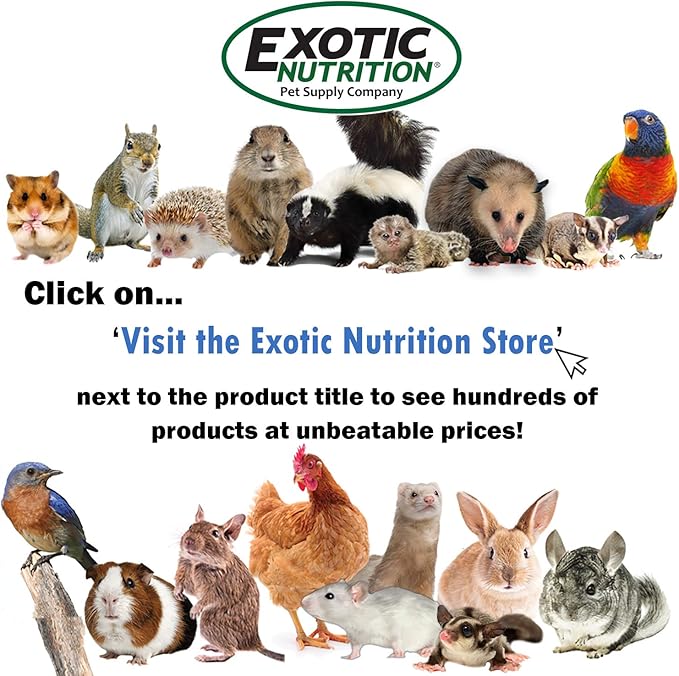 Squirrel Food Starter Package - Includes Nutritionally Complete Diet, Natural Treats & Healthy Vitamin Supplements - for Grey Squirrels, Ground Squirrel, Chipmunks, Flying Squirrels