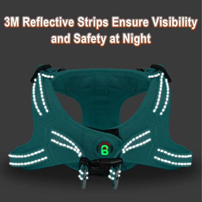 Dog Harness Step in Dog Vest Harness, Reflective Adjustable Puppy No Pull Harness Breathable Soft for Small and Medium Dogs Cats, Ocean Blue, S