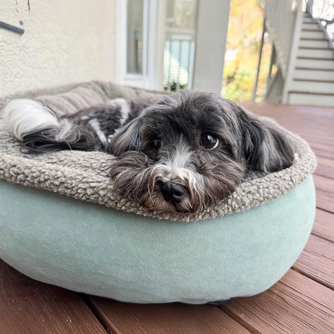 CAROLINA PET COMPANY Microfiber & Tipped Berber Comfy Cup Dog Bed - Blue, S
