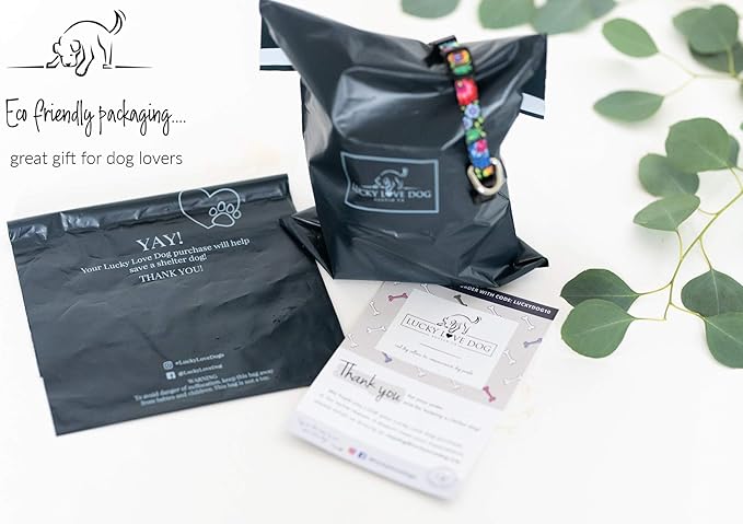Lucky Love Dog - Easy Click Buckle Dog Collar with Leash Set Combo, Durable & Comfortable for Male & Female Dogs, Pet Collar for Small Dogs, Secure Fit - Sweet Berry Combo, XS
