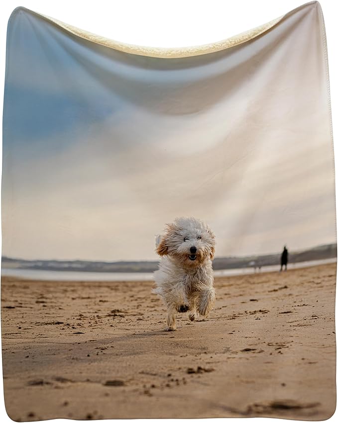 Prints Next Day – Custom 30" x 40" Sherpa Pet Lightweight Blanket with Photo Upload - Gift for Dog or Cat Owners - Personalized Couch Throw - Printed in America