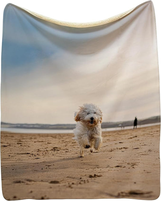 Prints Next Day – Custom 60" x 80" Sherpa Pet Lightweight Blanket with Photo Upload - Gift for Dog or Cat Owners - Personalized Couch Throw - Printed in America