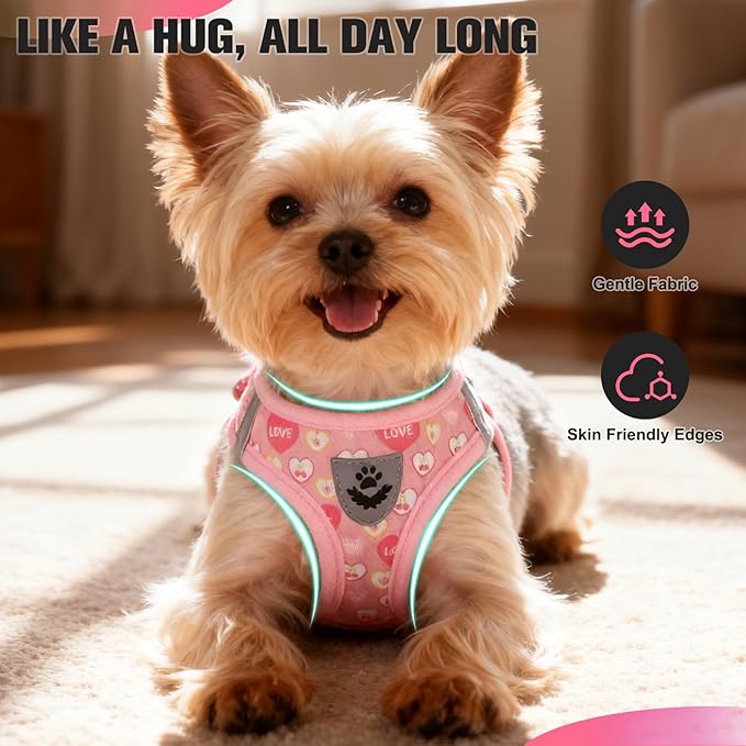 EXPAWLORER Small Dog Valentines Harness and Leash Set - Cute Puppy Harness Leash Dog Collar with AirTag Holder Silicone Case, Soft Padded Step in Pet Vest Reflective for Outdoor Walking, Heart S