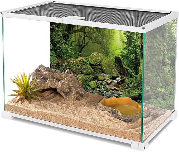 AWERT Tropical Forest Terrarium Background Stream Green Huge Tree Reptile Habitat Background Foggy Rainforest Aquarium Background 48x20 inches Durable Polyester Background