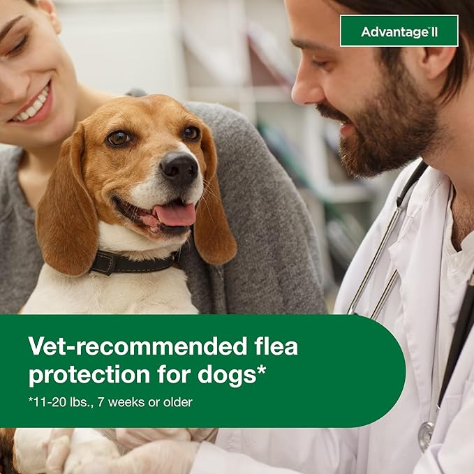 Advantage II Medium Dog Vet-Recommended Flea Treatment & Prevention | Dogs 11-20 lbs. | 4-Month Supply