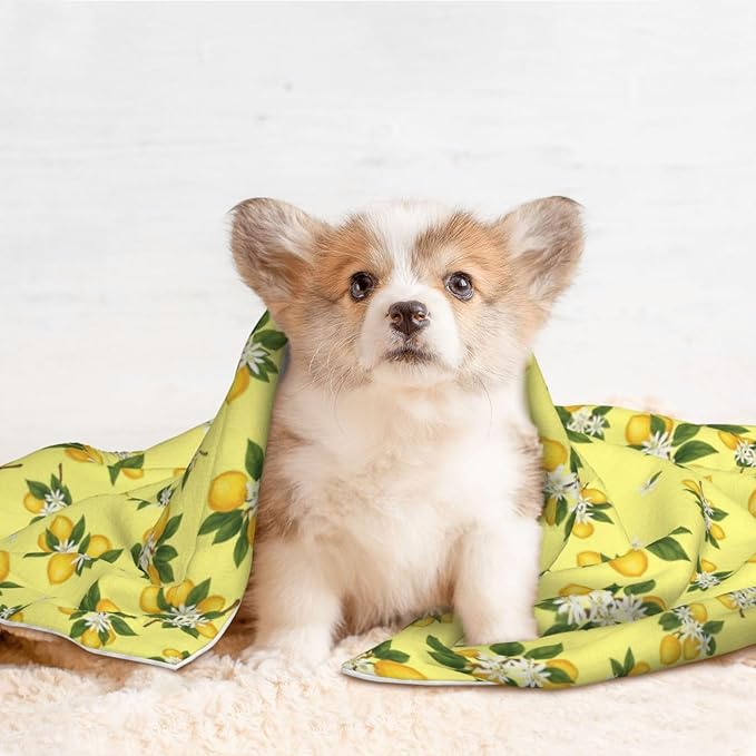 Reversible Pet Blanket for Easy Cleaning Maintenance, Buds Ripe Fruits Lemons Flowers White, Double Sided Plush Dot Design Means Double Use Between Washes for Convenience